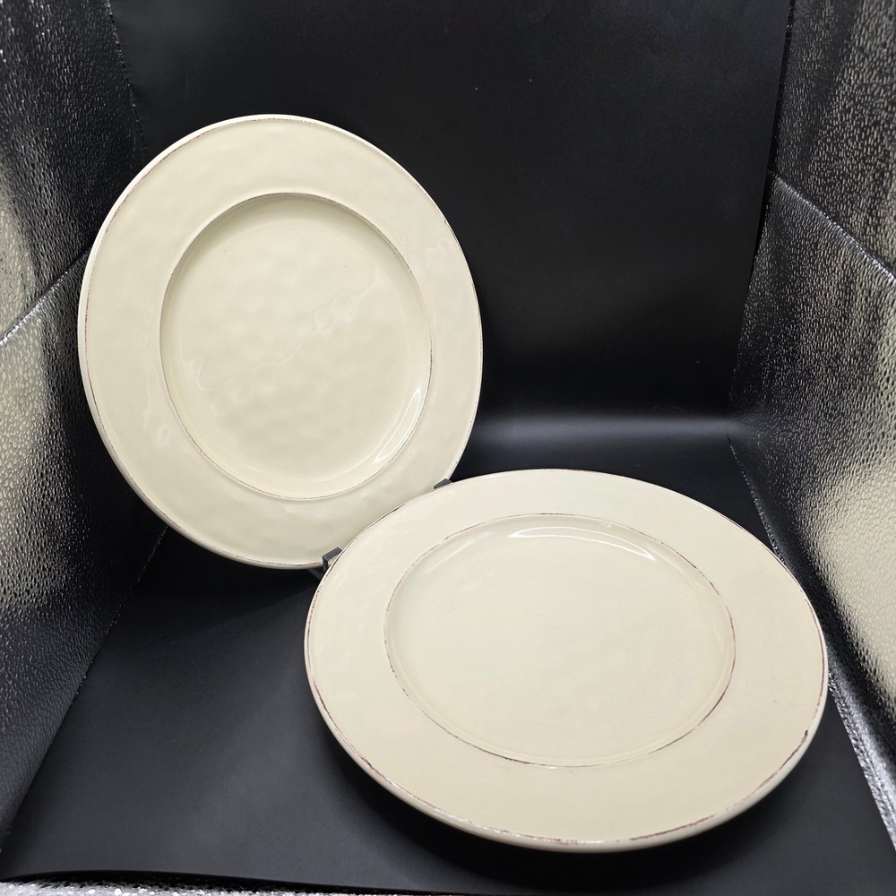 Pier 1 Imports Martillo Crème Brulee Dinner Plates Lot 2 Stoneware‎ 10.5" Rustic - Picture 2 of 8